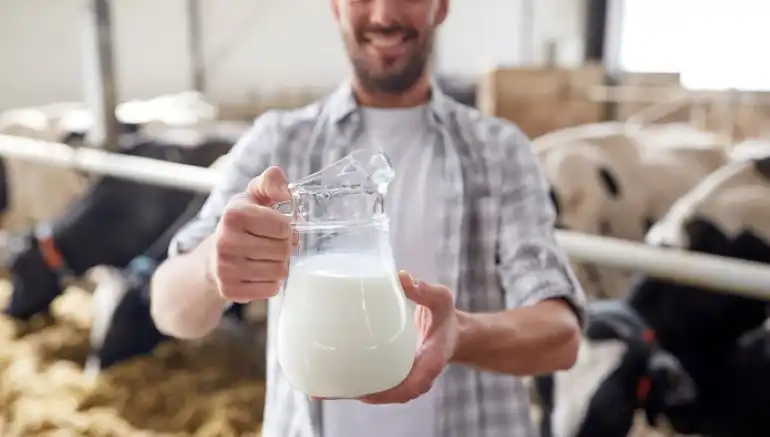 Американские молочные ассоциации хотят поделиться излишками продукции с нуждающимися странами