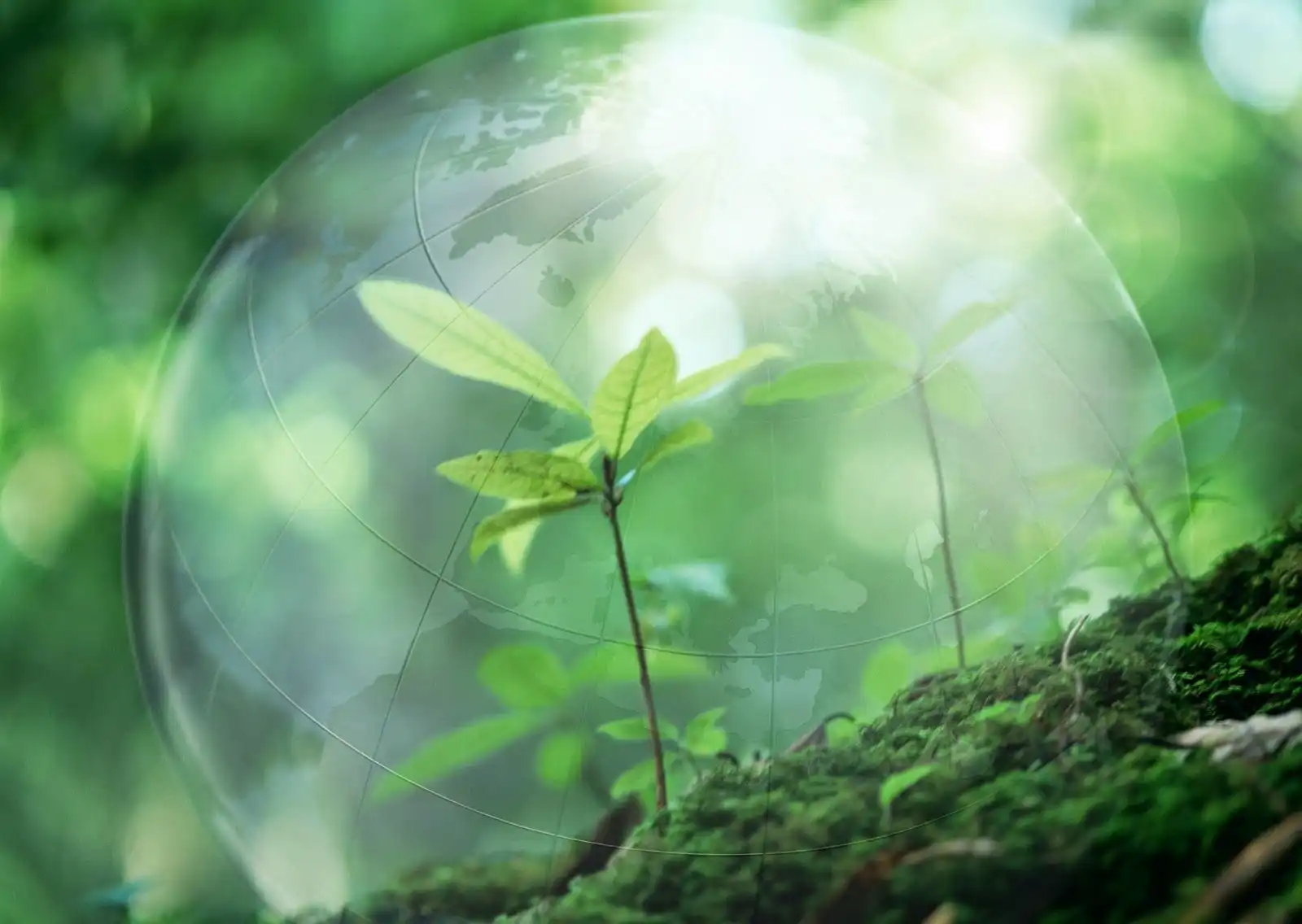 Запущена национальная программа экологизации Eco ÎMM