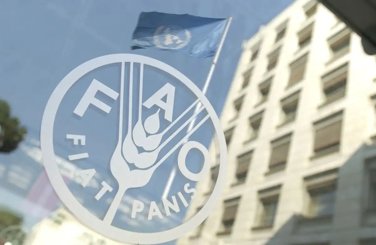 FAO va implementa în R. Moldova un proiect de adaptare la schimbările climatice