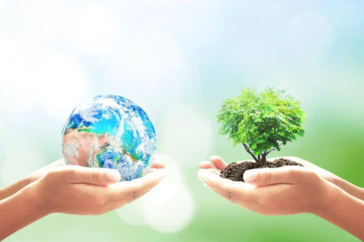 Mișcarea Ecologistă din Moldova: Problemele de mediu nu au intrat în carantină