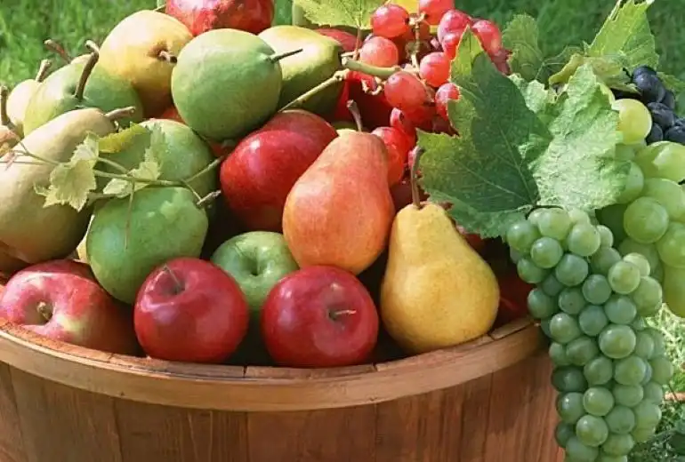 Мировой урожай яблок, груш и винограда существенно вырос в сезоне 2019/20 — USDA