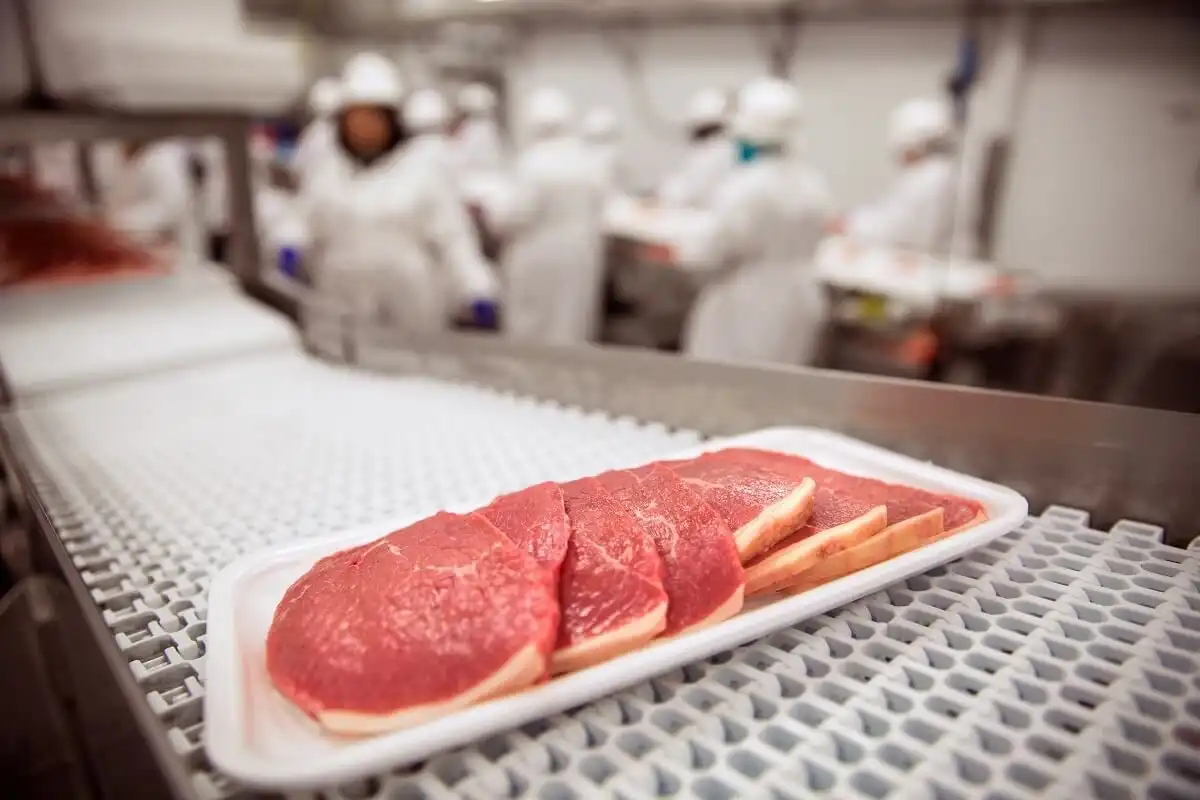 Germania: Presiune în creștere asupra sectorului de ambalare a cărnii după noul focar de coronavirus