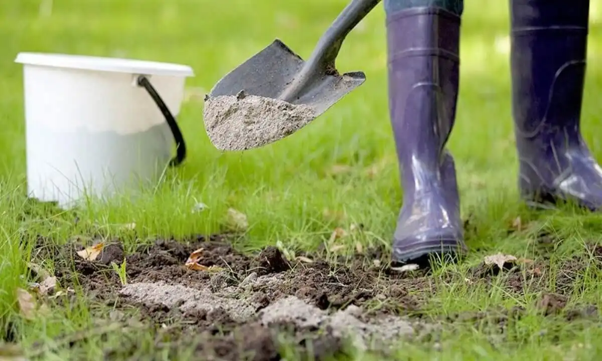 Cenuşa, un fertilizant natural ideal