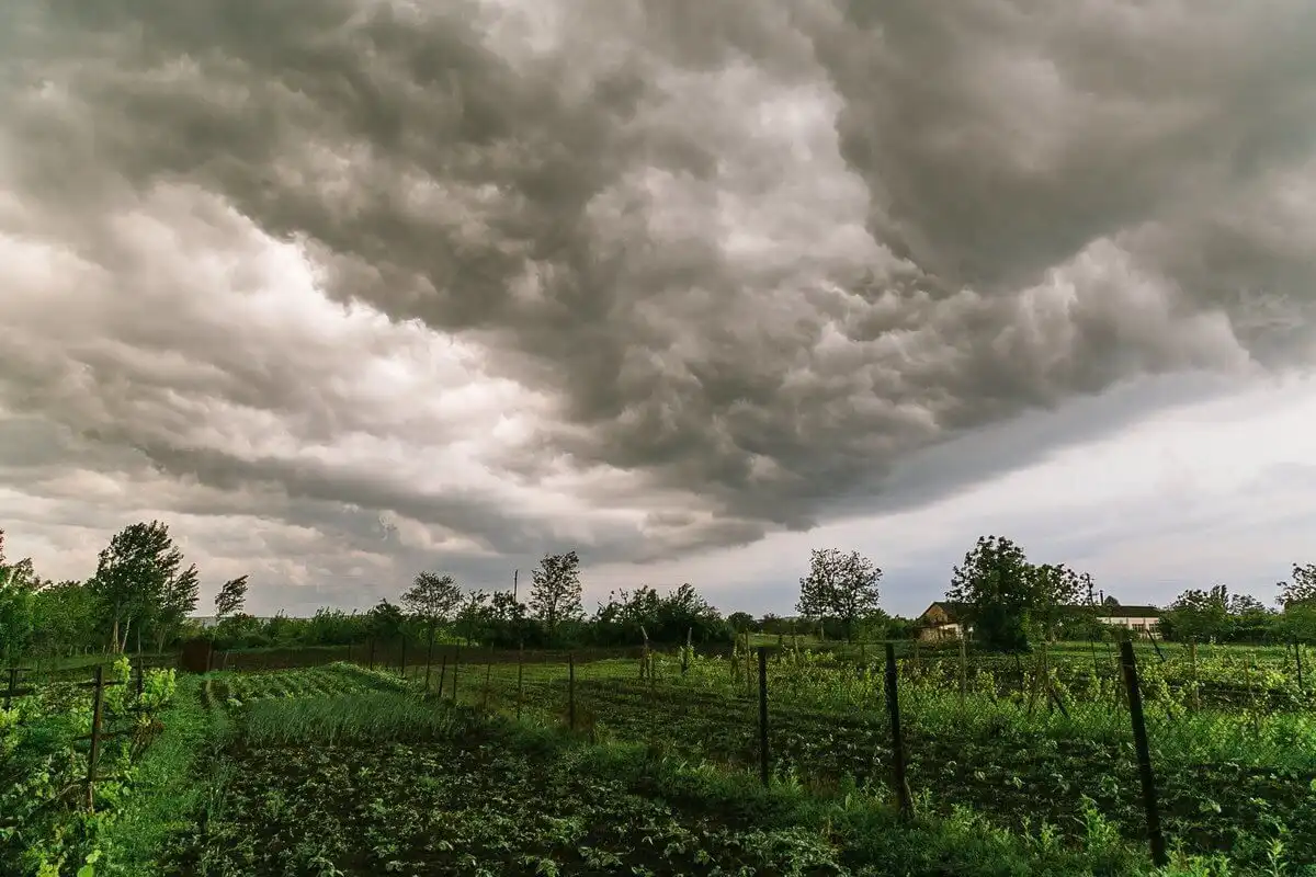 După un weekend canicular, se așteaptă ploi torențiale și vreme rece. Prognoza meteo pentru următoarele zile