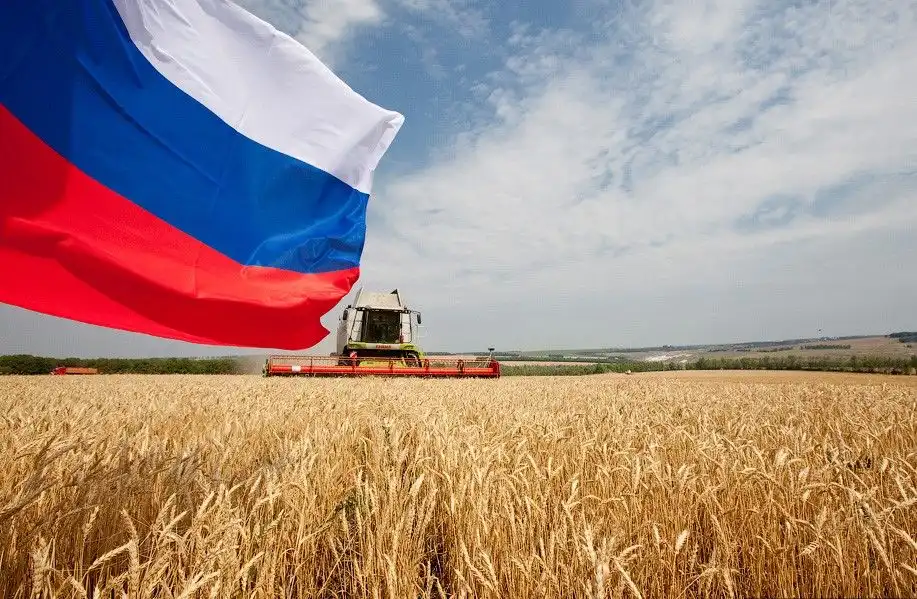 FAO: Россия займет пятую часть мирового рынка пшеницы