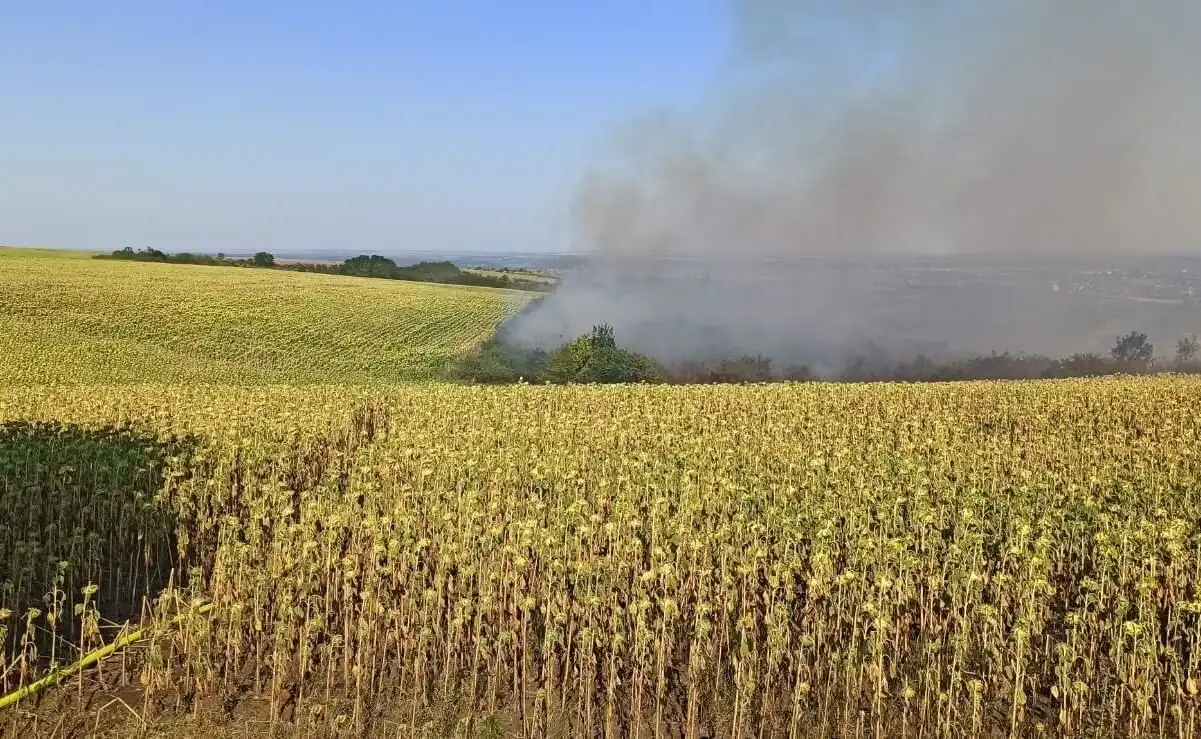 Zeci de hectare de vegetație uscată, mistuite de flăcări în mai multe raioane. Un câmp de floarea soarelui, în pericol
