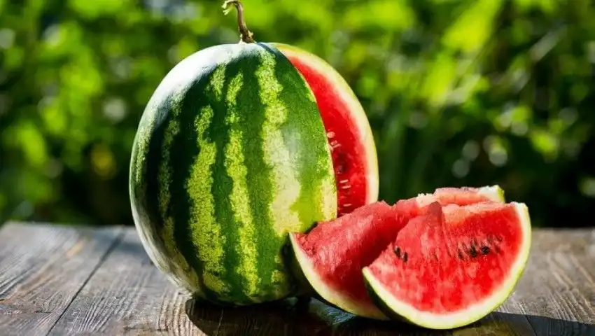 В Украине сертифицированы лишь 3% бахчевых культур