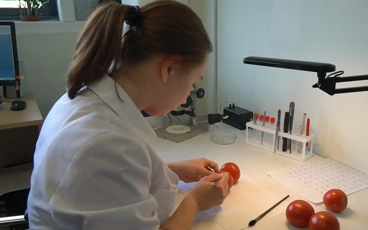 В Приднестровье на фитосанитарную продукцию снова нужны разрешения