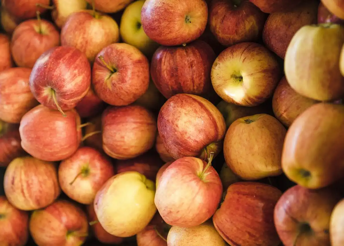 Moldova Fruct participă la MacFrut— prima expoziție în format digital. ÎNREGISTREAZA-TE în calitate de vizitator!