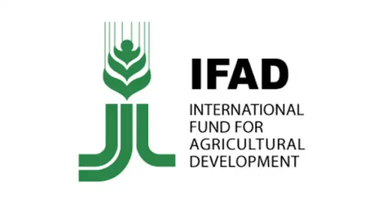 Правительство одобрило ратификацию соглашения с IFAD