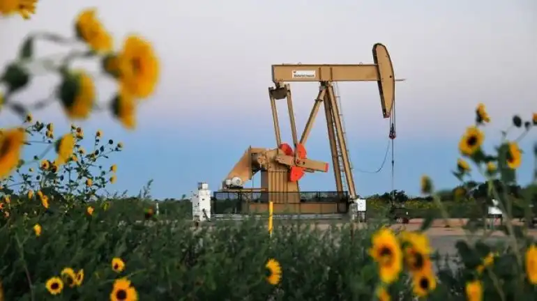 Обвал нефтяных котировок приведёт к падению цен на растительные масла