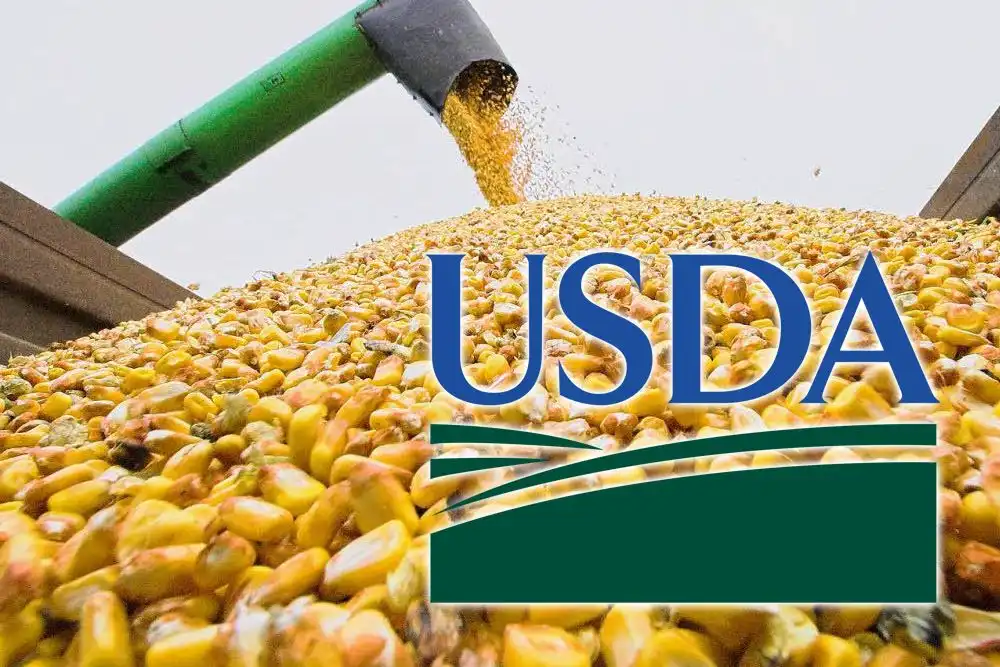 Октябрьский доклад USDA разогрел рынок кукурузы