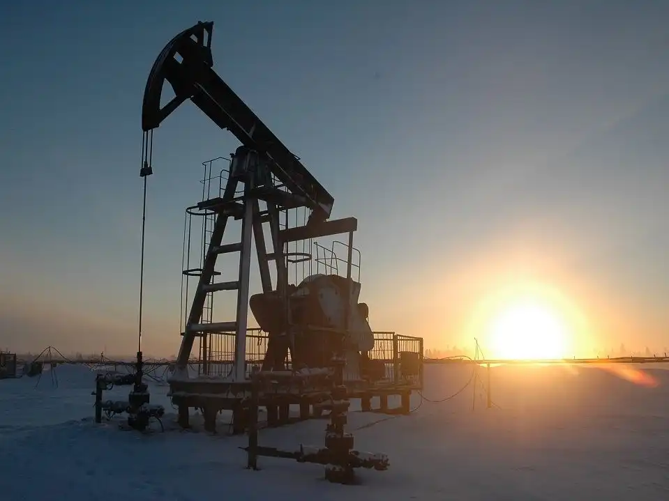 Падение цен на нефть продолжает опускать цены на кукурузу