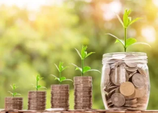 AIPA a autorizat încă 16 mln de lei: În ce investesc fermierii