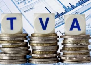 Viorel Gîrbu: Fermierii mici vor resimți cel mai dur TVA de 20%