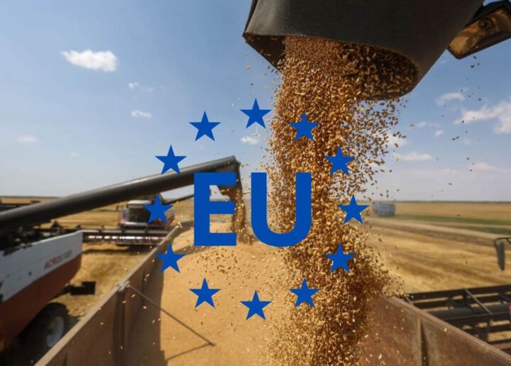 Exportul de cereale către UE a început cu o încetinire în noul sezon