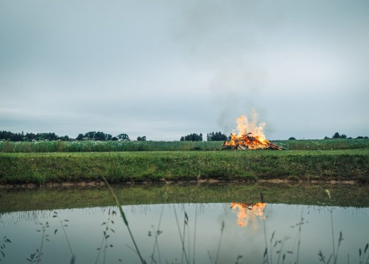 Incendierea miriștilor este interzisă: arderea distruge ecosisteme