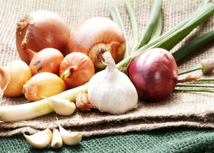 Producătorii francezi de legume înregistrează pierderi de milioane din cauza caniculei
