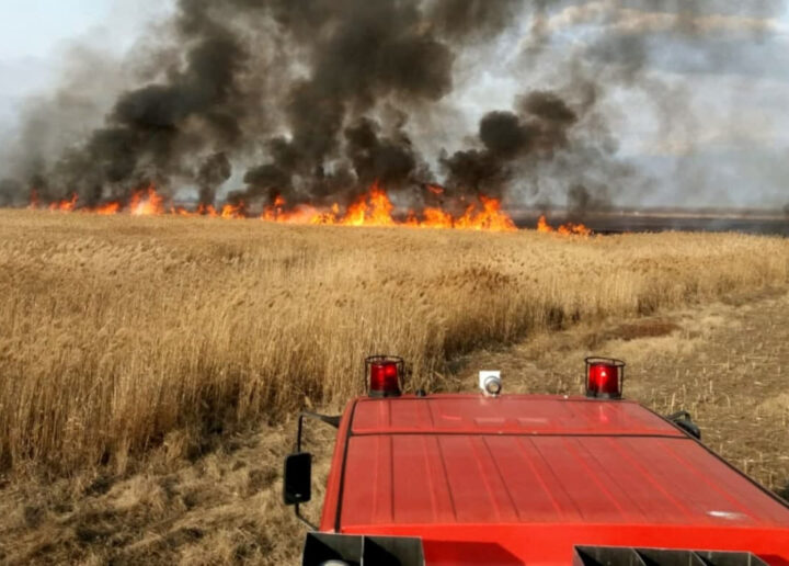 Incendiu la Mândrești: 15 hectare de grâu au fost distruse
