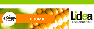 Banner 3 - sidebar