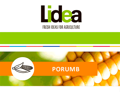 Banner 3 - sidebar