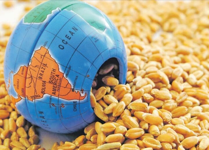 În anul agricol 2026/27, Rusia ar putea ocupa o parte din piețele europene de desfacere a grâului