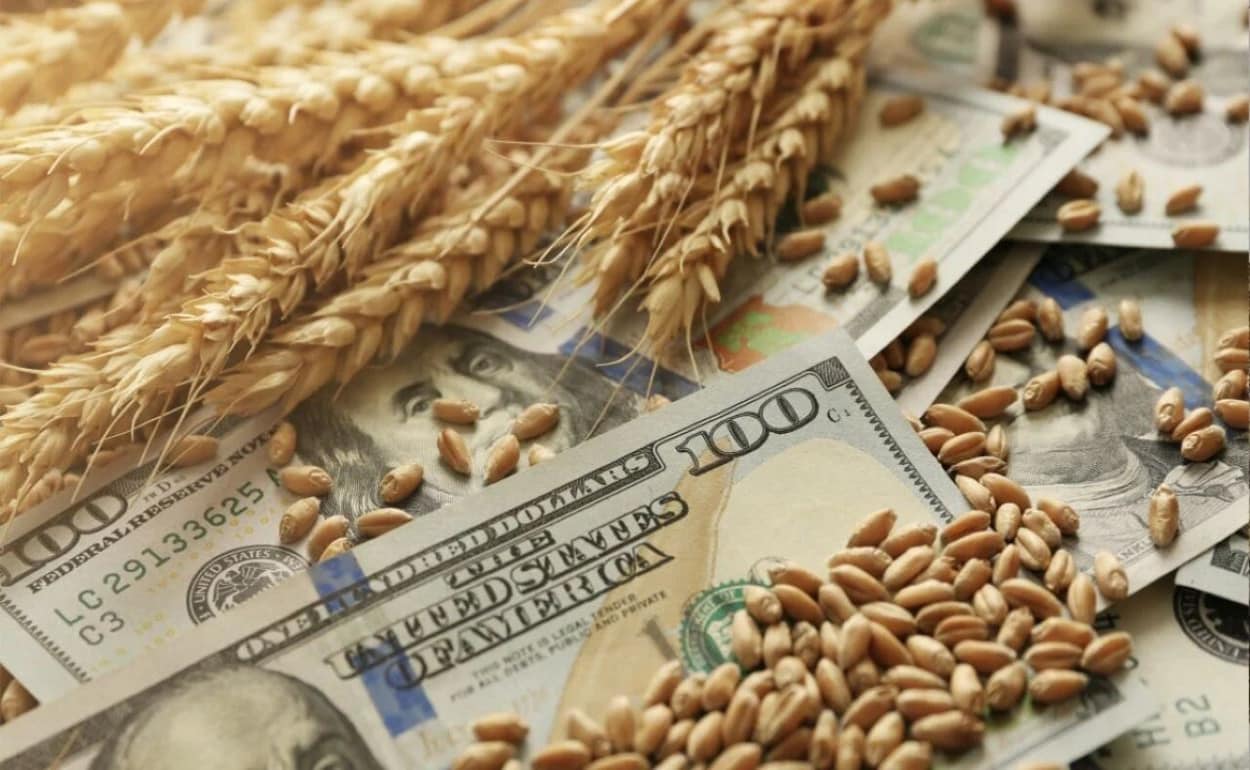 Prețurile din cadrul licitației din Algeria pentru achiziționarea de grâu au crescut