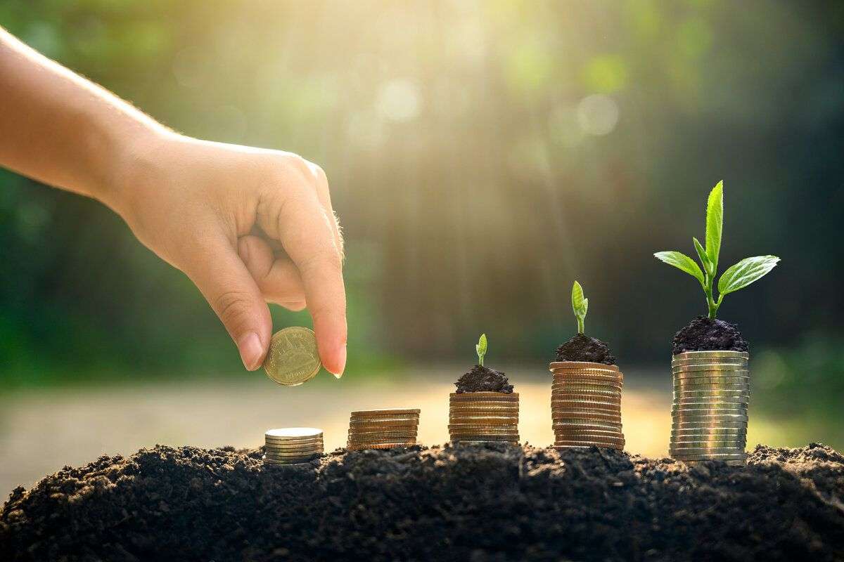 Câți bani au primit fermierii în prima jumătate a anului? Date de la AIPA