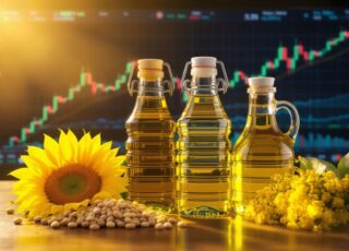 Черноморский кризис и мировой рынок растительных масел: обзор ситуации