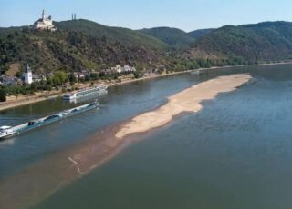 Prețurile ridicate la rapiță din Europa sunt susținute de nivelul scăzut al apei din râul Rin